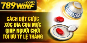 Cách đặt cược xóc đĩa con mực giúp người chơi tối ưu tỷ lệ thắng